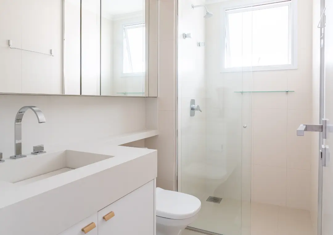 AnyConv.com__Design sem nome - 2025-11-12T133517.225